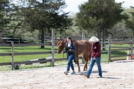 LR-WRF 04282026 Retreat-4201